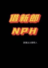 nph现代系统